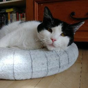 Meet your Posher, Catherine